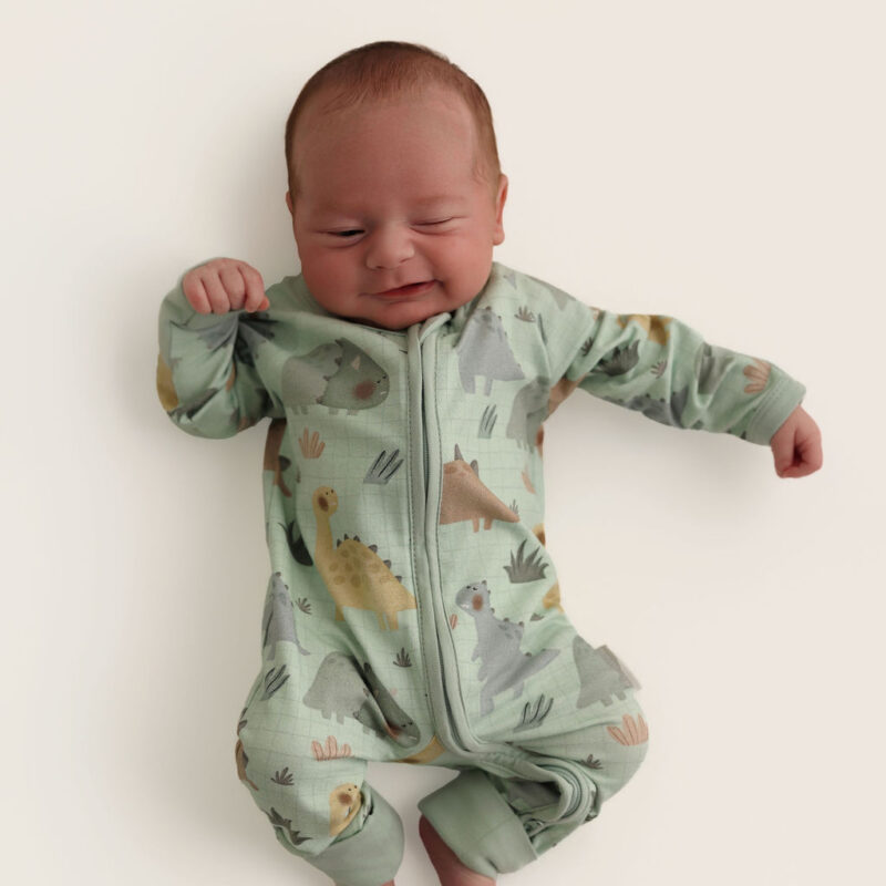 Zipped Suit | Dino Park