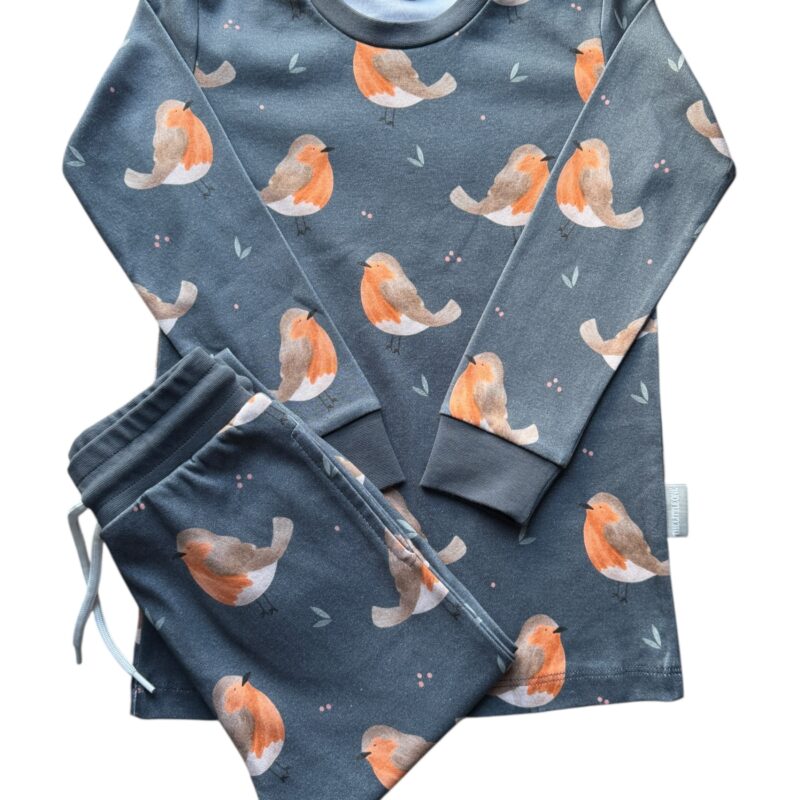 PJs | When Robins Appear