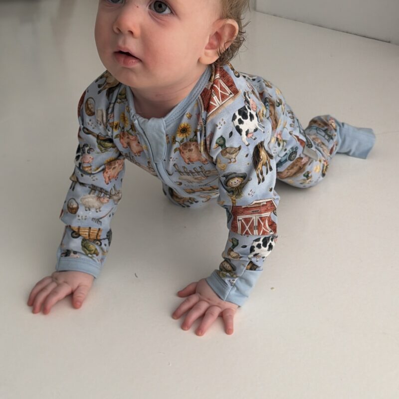Zipped Suit | Blue Barnyard