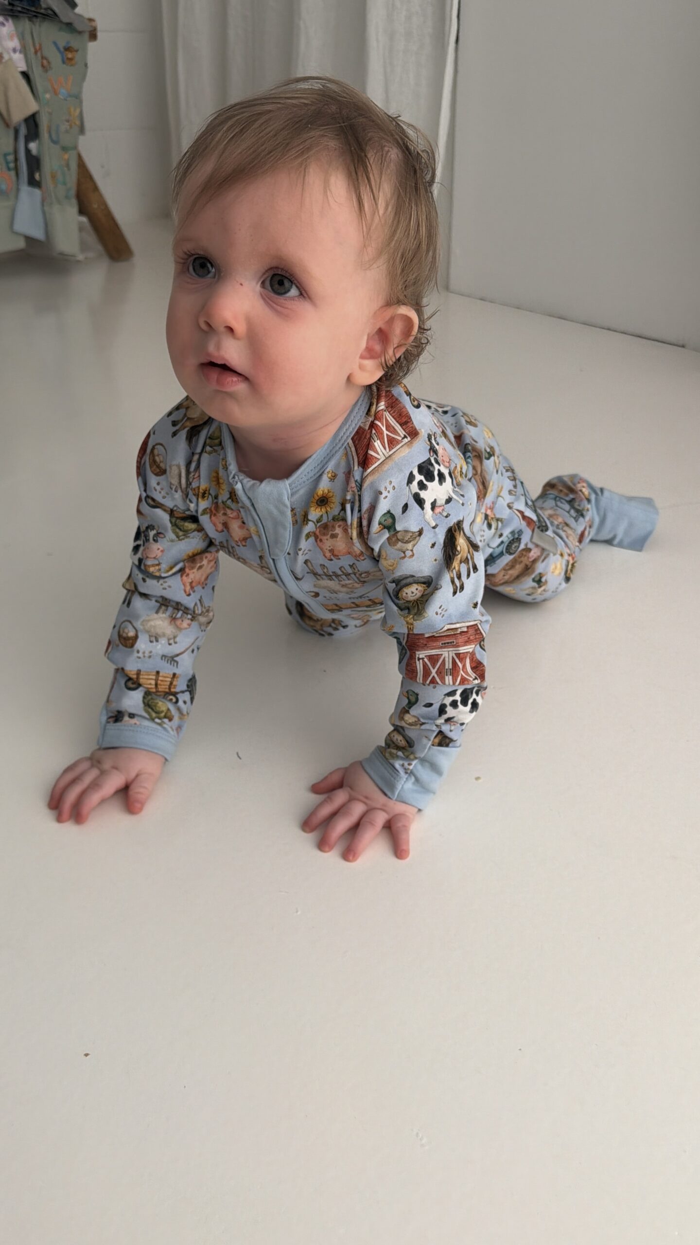 Zipped Suit | Blue Barnyard