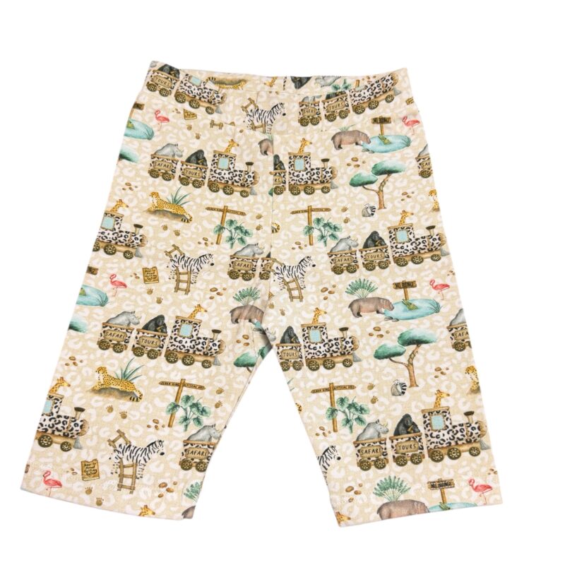 Shorts | Safari Train