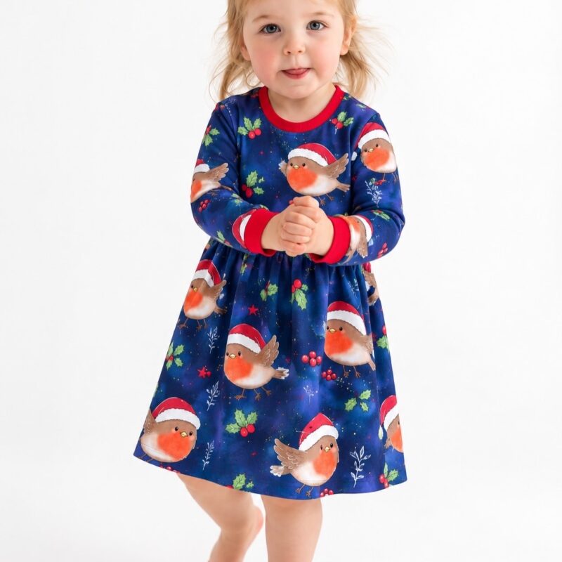 Dress | Little Robin (Pre-Order)